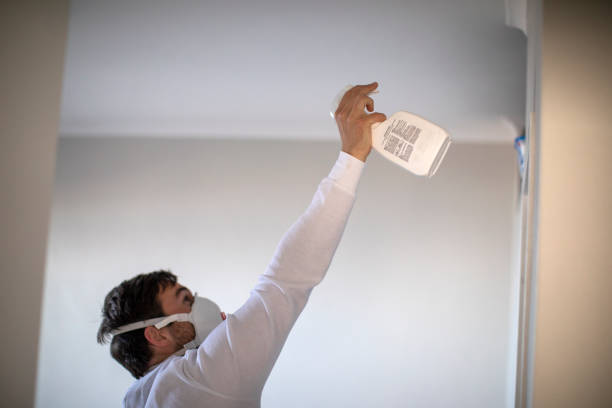 Best Commercial Mold Remediation in Brazoria, TX